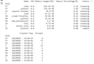 How To Make A Process Monitor In Python CopyAssignment