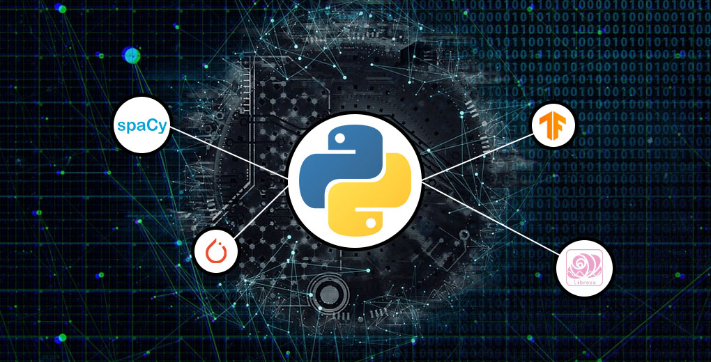 Python Libraries (libraries in Python)