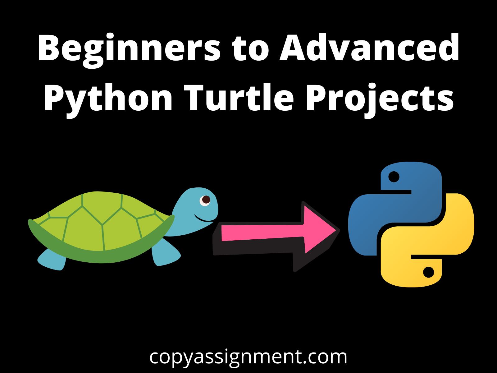 python turtle assignment