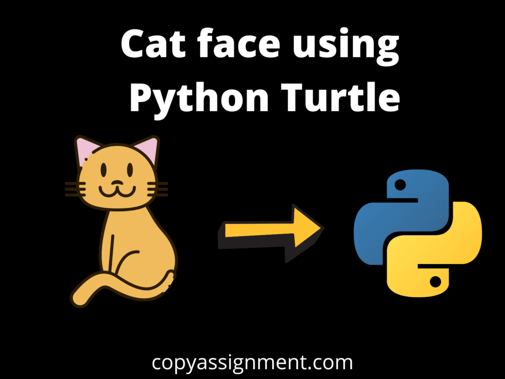 cat-using-python-turtle-copyassignment