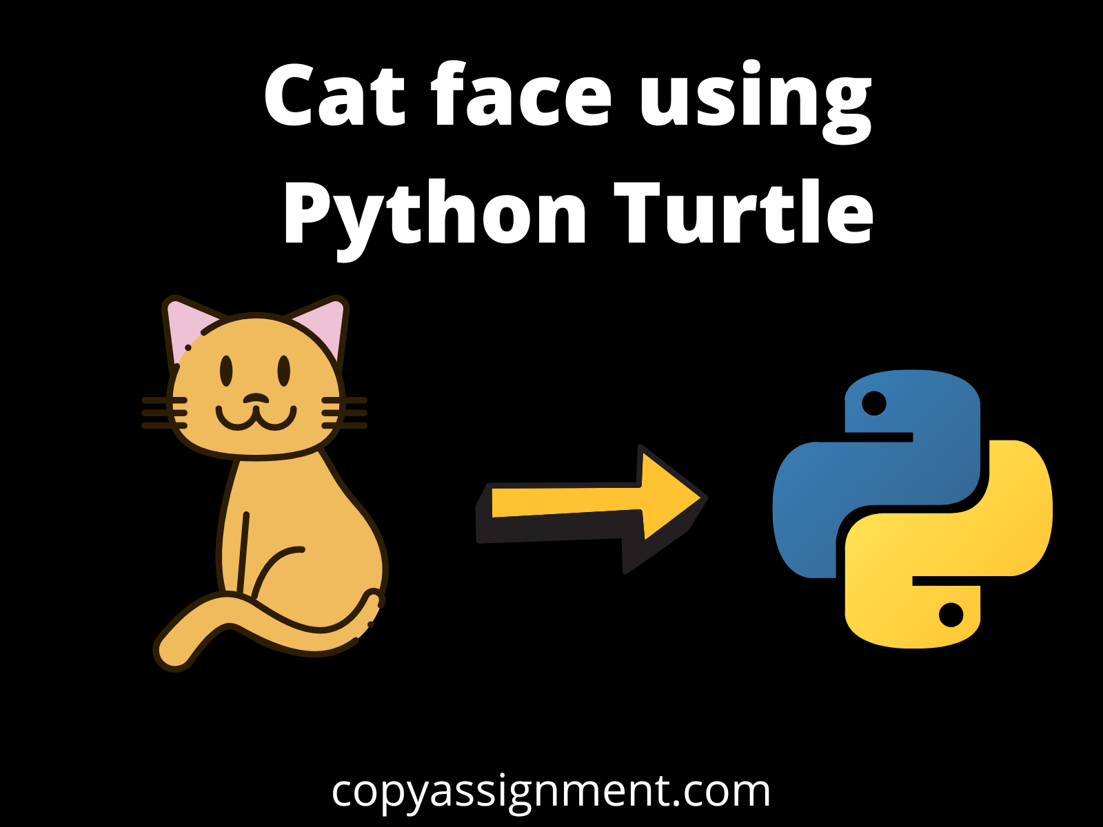 Cat using Python Turtle - copyassignment.com