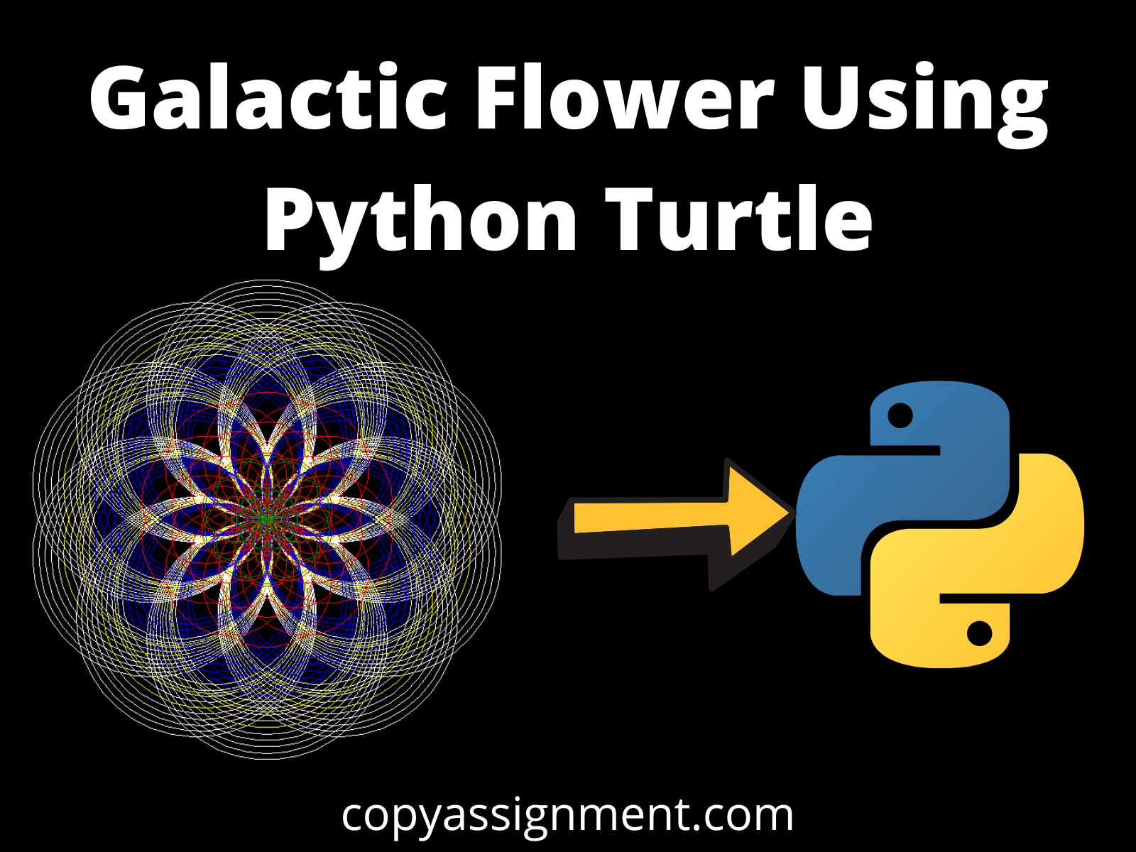 draw-a-flower-using-python-turtle-copyassignment