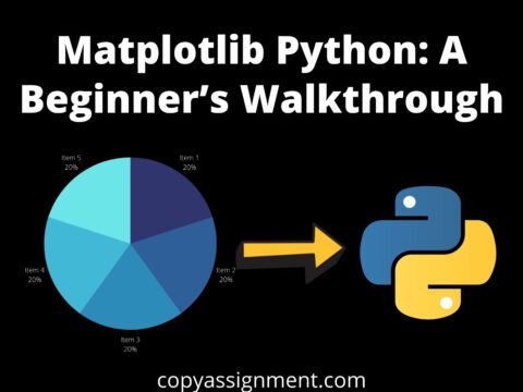 Matplotlib Python: A Beginner's Walkthrough