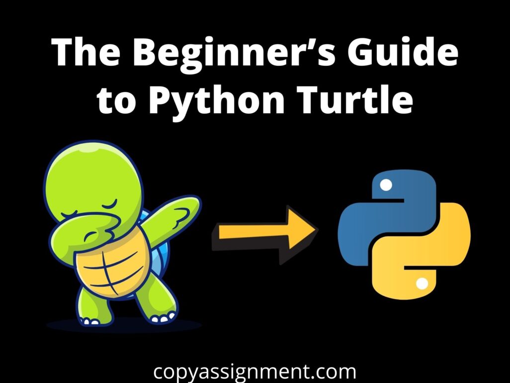 python turtle assignment