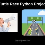 Turtle Race Python Project