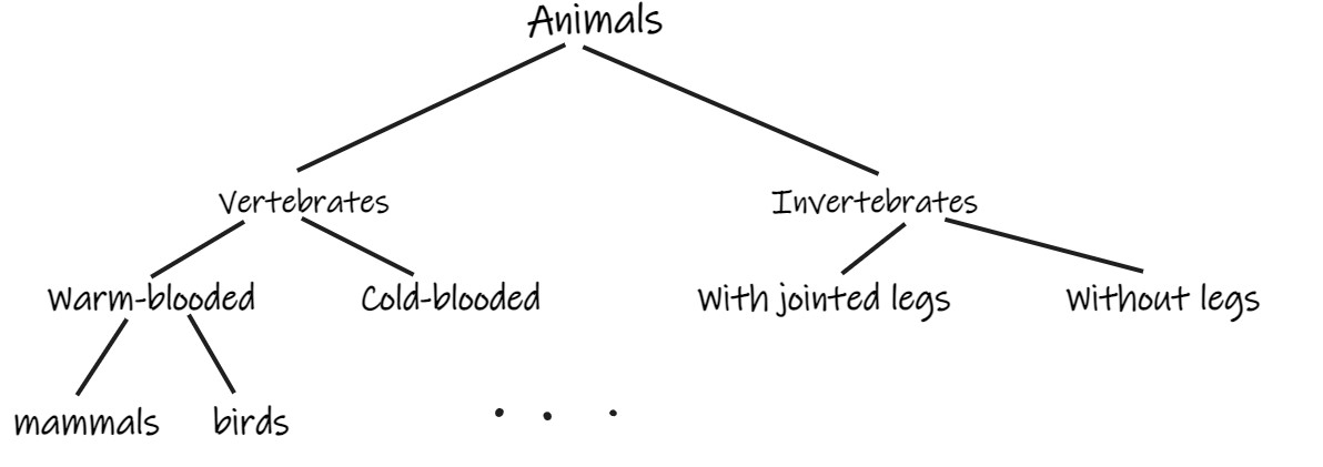 Multiclass Classification In Machine Learning - CopyAssignment