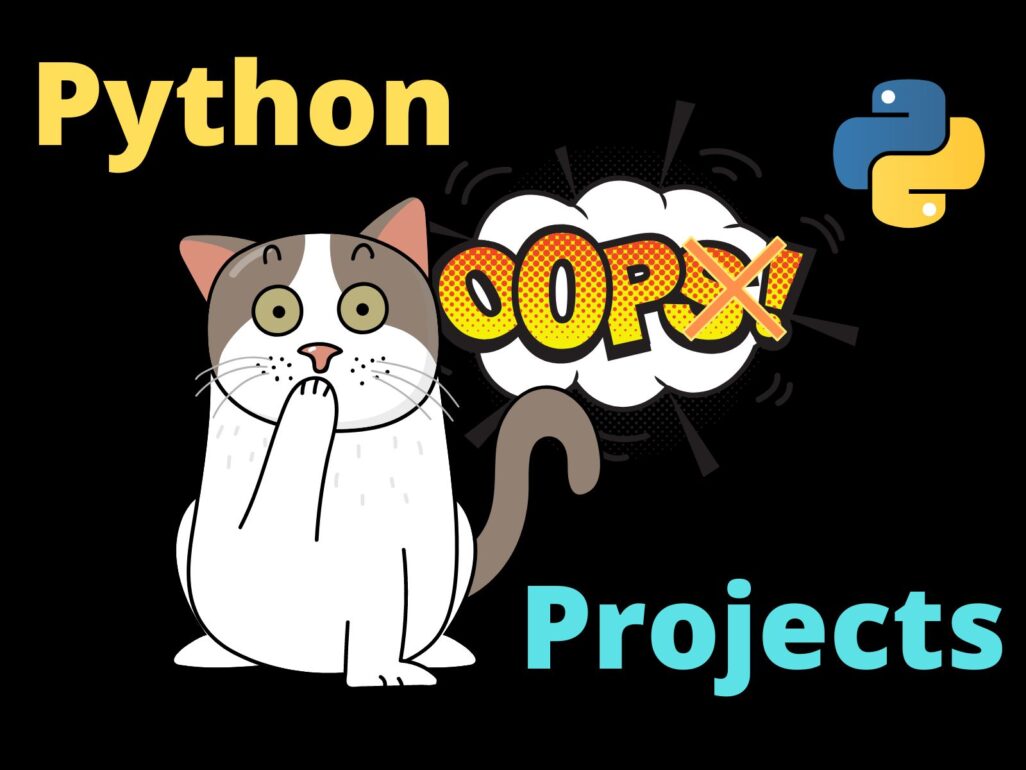 Python OOP Projects | Source Code And Example - CopyAssignment