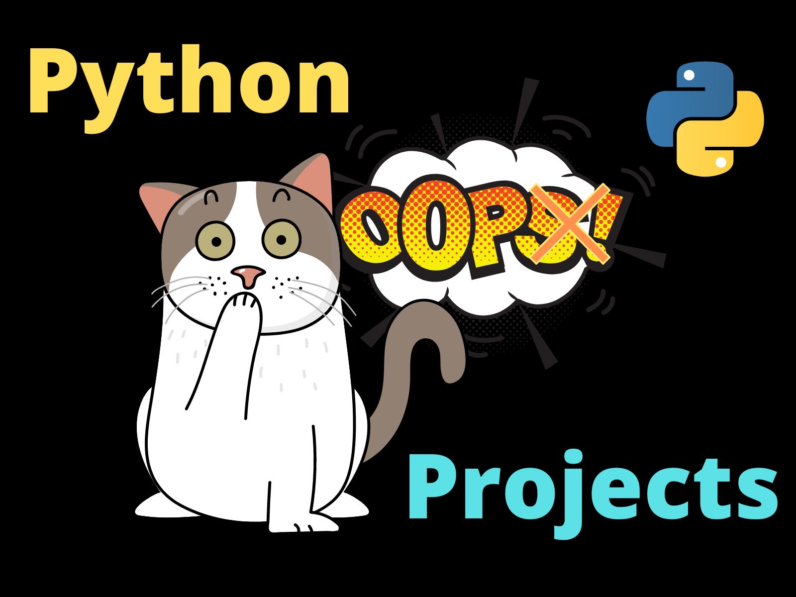 Simple Oop Projects In Python