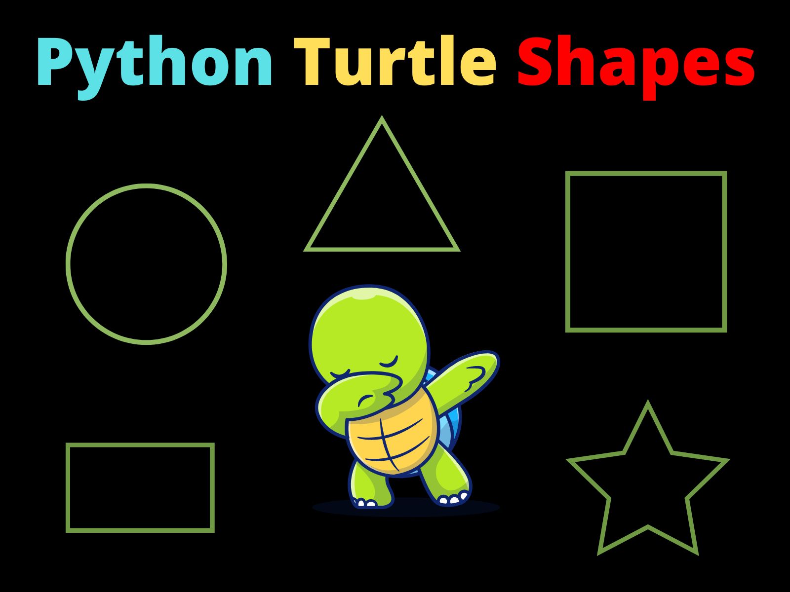 Python Turtle Shapes Square Rectangle Circle CopyAssignment