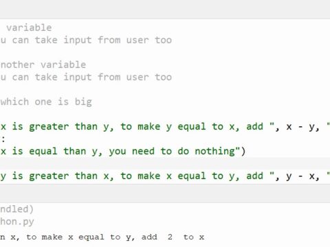 Make it equal in Python assignment expert