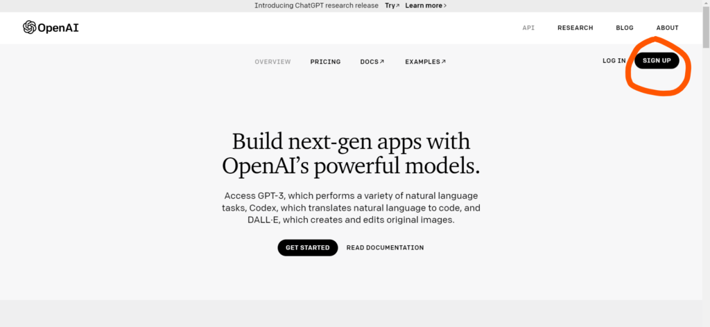 openai website